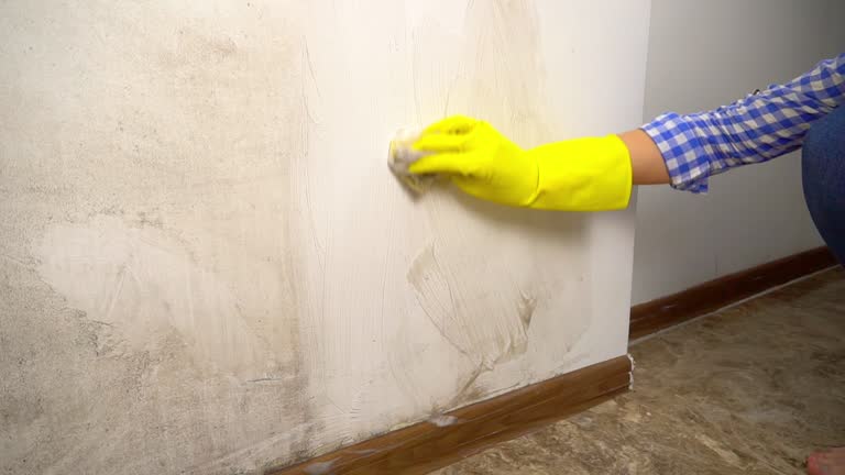 Best Dehumidification Services  in Uniontown, AL