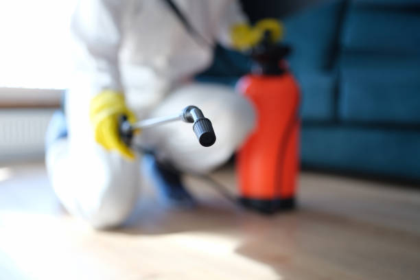 Best Water Damage & Mold Remediation  in Uniontown, AL